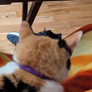 Meet your Posher, Liv